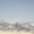 오옛떡 - 고양시 일산동구 정발산로 24 | 오옛떡