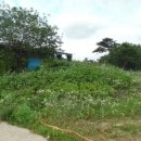 진관2리 마을회관 이미지