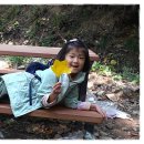 덕고개로 Daum카페