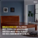 황토코리아돌침대 이미지