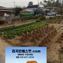 여주-0913 Daum카페