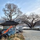 장수안포로 이미지