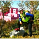 광명대교 이미지