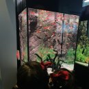 일층세탁 이미지