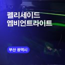 부산엠비언트 펠리세이드 실내튜닝 LED라이트시공 엠비언트라이트