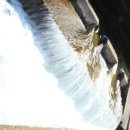 덕두원길 이미지