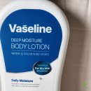 디에스엠 인터내셔널 주식회사 이미지