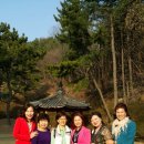 웃음힐링 이미지