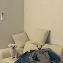 벨리나 | 🛋️ 2인용 소파 추천｜패브릭 소파 후기 도모 벨리나 소파 + 스툴 세트 사용해 보니 🛋️