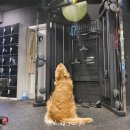 시즌온짐 이미지