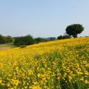 구미강정 이미지