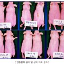 주식회사하임약품 이미지