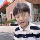 4-3/4 맘껏 누리놀이-실외 돗자리 등장!!! 이미지