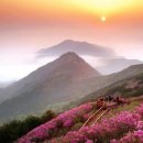 정아 카카오 검색결과