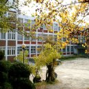 일신여자중학교 이미지