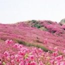 팔도모텔 - 울릉군 도동1길 12 | 팔도모텔