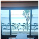 제주애견동반솔펜션 | 제주애견동반펜션 숙소로 완벽한 선택! 솔펜션 후기