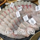 후포회수산 | 대구 들안길 맛집 후포회수산 예약 방문후기