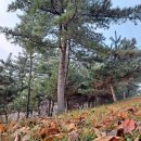 반월공원 이미지