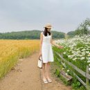 올랑올랑~ 신나는 책 놀이터 A반 | 여전히 24시간이 부족해.. 🕰️ 25개월 아기와 워킹맘 일상 👧🏻👩🏻