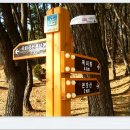 동대부속유치원 이미지