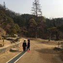 능전농장 | 아이랑 딸기따기체험