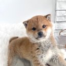 균영농장 이미지