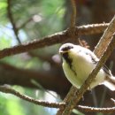 대왕암공원관리사무소 이미지