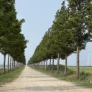 현바이크 | [대부도에서 3박 4일 살아보기] 솔직 후기 체험편🎪🛺 | 동춘서커스 | 대부도 전동바이크