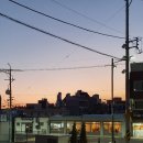 인터불고세탁소 | <남산동카페> 레트로 감성의 반월당 신상카페 '탈린커피바'