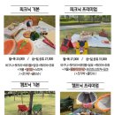 그날의피크닉