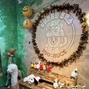 벅스 | 인천 남동구 실내 놀거리 아이와 가볼만한 곳 서창 실내 동물원 쥬벅스 후기