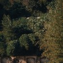 외양포경로당 이미지