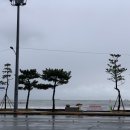 장애인생활이동지원센터 | 🌟 경북시각장애인 문화예술활동지원사업 참여 후기: 빛나는 경험을 나누다! 🎨