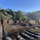 괴산군 감물면, 농업기술센터와 함께 농촌 일손돕기 추진 이미지