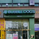 버블독스 이미지
