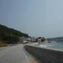 케이제이스타 이미지