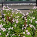 나들정원 이미지