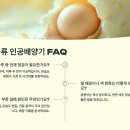 38℃ | 🦎 2025 파충류 인공배양기 솔직 후기! 인기 모델 비교·사용 팁까지 완벽 정리