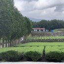 다원다방 이미지