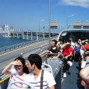 부산관광공사 부산시티투어 이미지