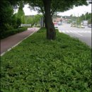 밥풀떼기 이미지