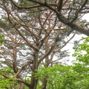 거창-가북-2 이미지