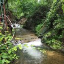 사랑방농원 이미지