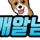 대구24시바른동물의료센터 이미지