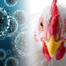 삼성정보시스템 이미지