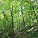 정선군 도사곡샘터 이미지