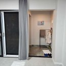 스테이 댕댕 이미지