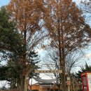 대원버스 | 철원 소이산 인근 대형 카페 ‘대원’ 방문 후기- feat. 크리스마스 분위기 카페