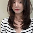 허쉬HS